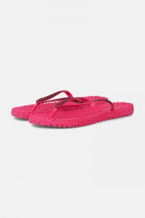 Ilse Jacobsen cheerful01 Flip Flops Dame Rosa | 0719684-HU