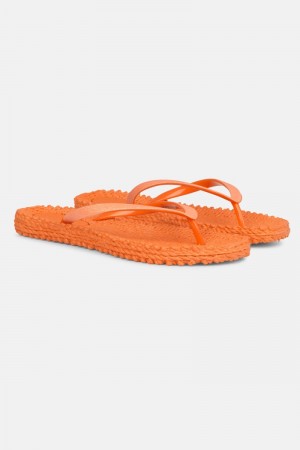 Ilse Jacobsen cheerful01 Flip Flops Dame Spice | 7304856-JF