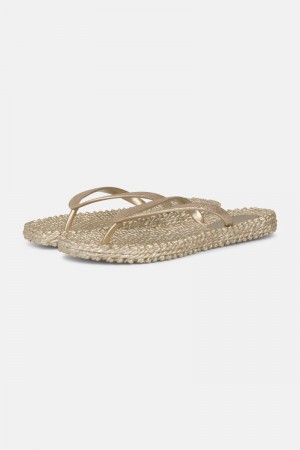 Ilse Jacobsen cheerful01 Flip Flops Dame Platin | 5169032-JU