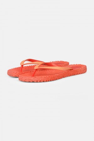 Ilse Jacobsen cheerful01 Flip Flops Dame Rød | 9862451-TD