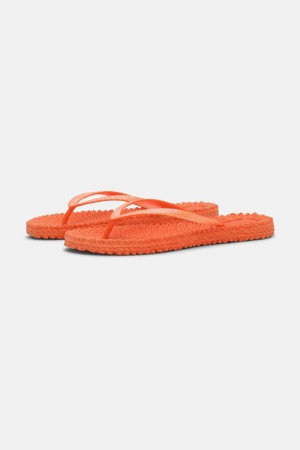 Ilse Jacobsen cheerful01 Flip Flops Dame Oransje | 2410573-SF