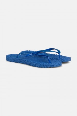 Ilse Jacobsen cheerful01 Flip Flops Dame Blå | 1359046-NA