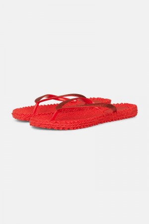 Ilse Jacobsen cheerful01 Flip Flops Dame Dyp Rød | 7405826-PZ