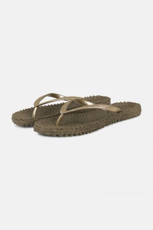 Ilse Jacobsen cheerful01 Flip Flops Dame Brune | 8630254-XY