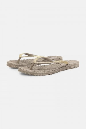 Ilse Jacobsen cheerful01 Flip Flops Dame Atmosphere | 9652701-QV