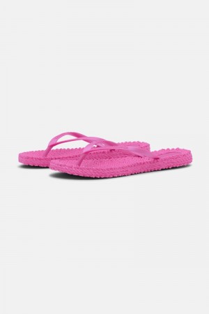 Ilse Jacobsen cheerful02 Flip Flops Dame Rosa | 0278314-RF