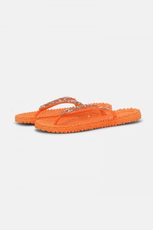 Ilse Jacobsen cheerful03g Flip Flops Dame Spice | 2816703-RP