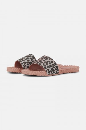 Ilse Jacobsen cheri0190gl Flip Flops Dame Rosa | 2649873-JF