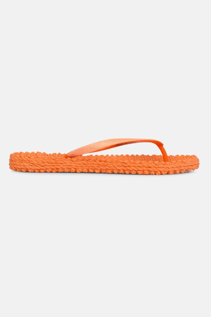 Ilse Jacobsen cheerful01 Flip Flops Dame Spice | 7304856-JF